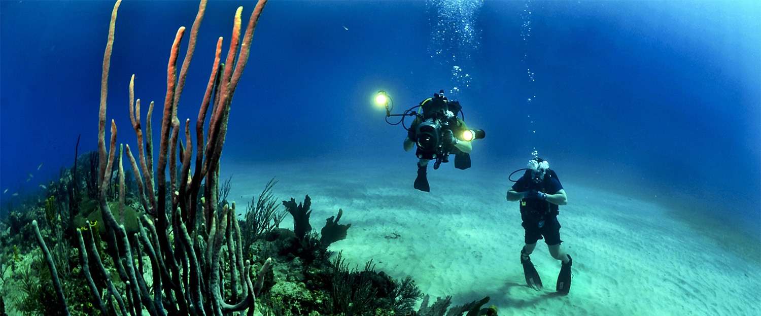 xcdivers 681516